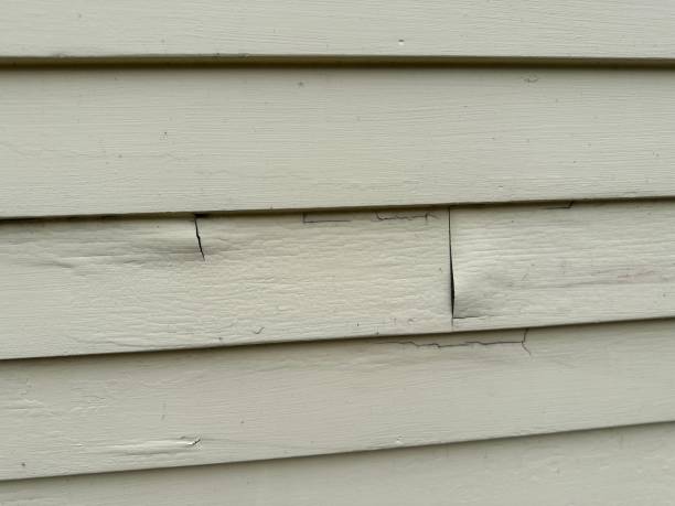 Affordable siding repair and maintenance services in Fenton, MI